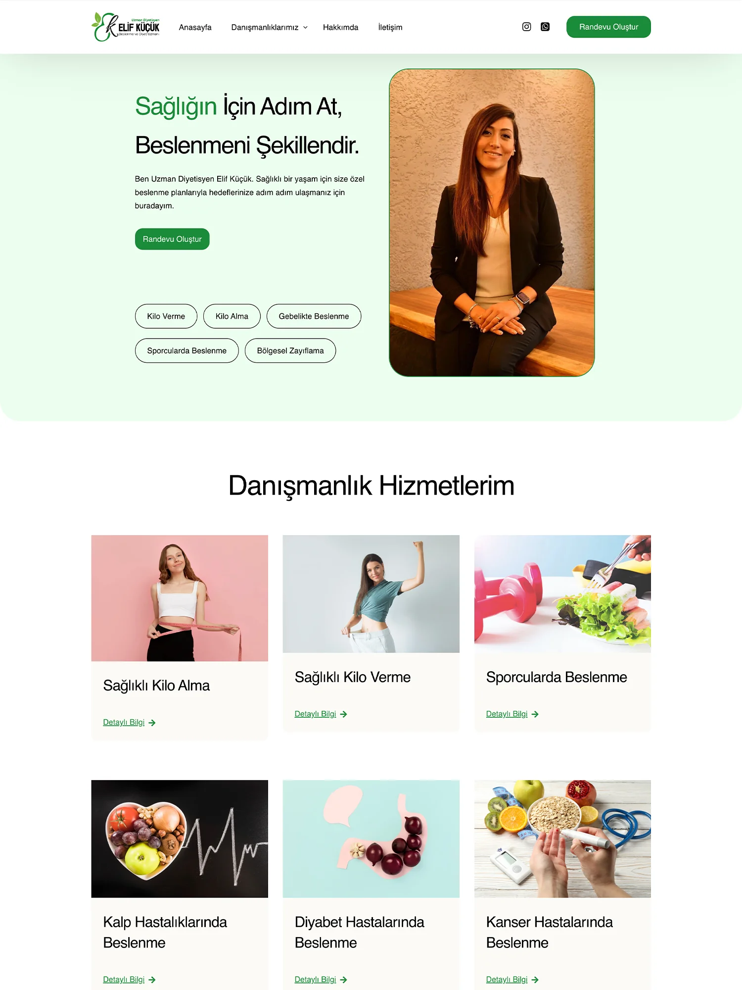 berke iri web portföy