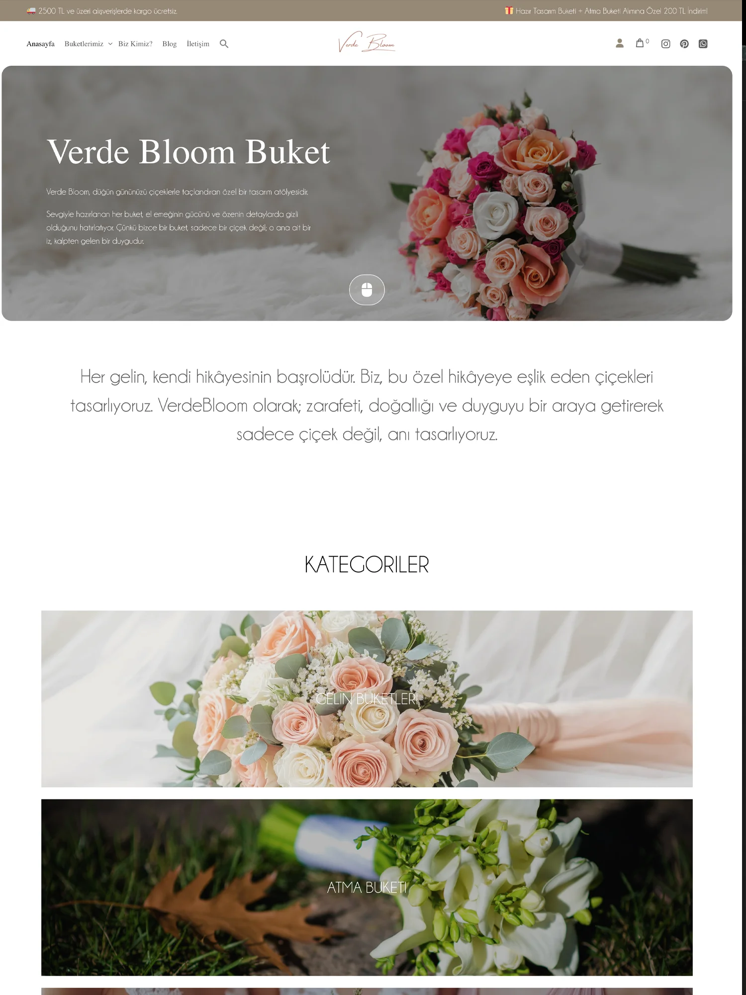 berke iri web portföy